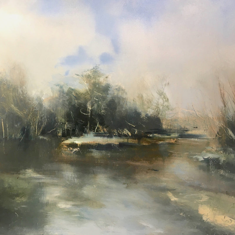 Island in the river