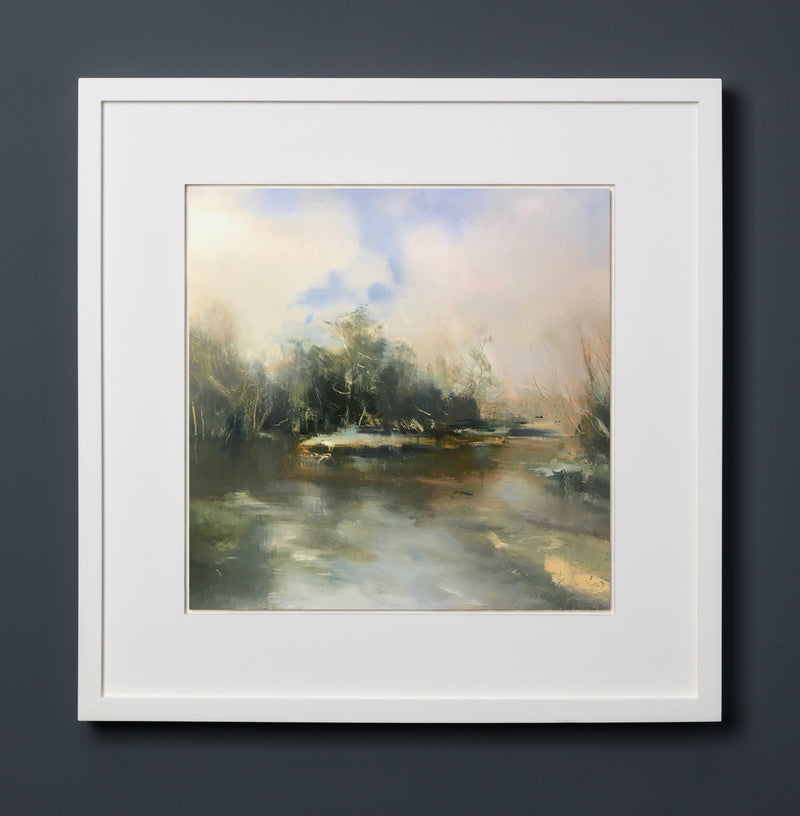 Island in the river